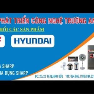 169996685 1506626352860100 7120338177777768383 N